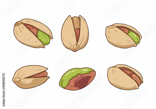Pistachio nuts in various forms, including shelled and in-shell, presented in a vibrant cartoon illustration style on a white background.
