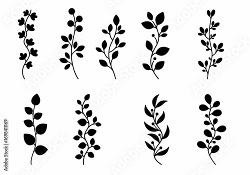 Elegant Black Silhouette Botanical Branches and Berries Collection for Design and Decoration on White Background