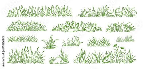 Grass field. Flower clump, small clover sketch or weed bush garden. Turf border texture, hand drawn plant lines. Decorative botanical meadow nature summer garden. Vector herbal doodles set