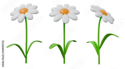 3d chamomile. Daisy flower in grass, cute spring white garden or colorful plant in plastic style different sides view. Summer decorative vector render isolated cartoon glossy element