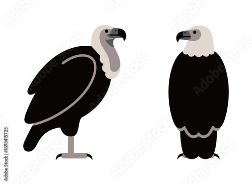 A set of simple, black and white, flat vector illustrations of a majestic vulture or eagle, showing its front and side profiles on a clean background.