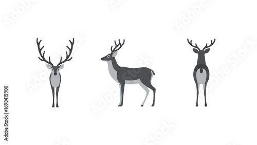 A set of simple, gray, flat vector illustrations of a majestic deer with antlers, showcasing its front, side, and back views on a white background.