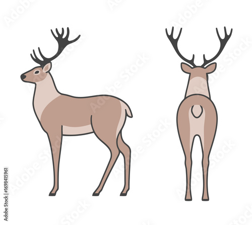 A set of simple, flat vector illustrations of a reindeer with majestic antlers, featuring a full-body side view and a back view on a clean white background.