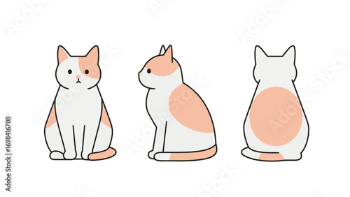 A set of simple, cute, and flat vector illustrations of a cat, showcasing its front, side, and back profiles in a clean and modern style.