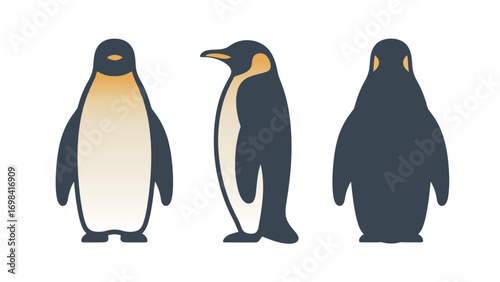 A set of simple, flat vector illustrations of a penguin, showcasing its front, side, and back views in a clean and modern style.