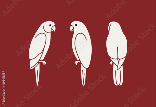 Three White Parrots from Front, Side, and Back View on a Red Background for Nature and Avian Themes