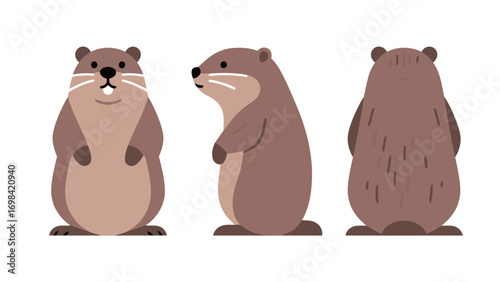 Three different views of a groundhog or marmot, front, side, and back, in a simple graphic style on a white background