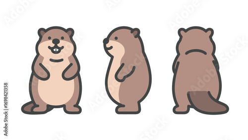 Three different views of a cute groundhog or marmot, front, side, and back, vector illustration in a simple graphic style on a white background