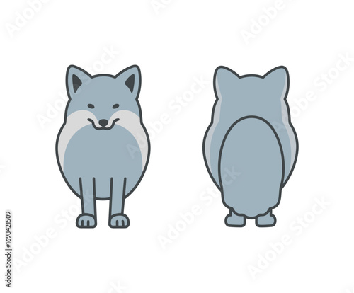 Front and back view vector illustrations of a gray wolf or fox, in a cute and simple graphic style on a clean white background