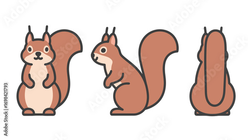 Cute flat vector illustration of a cartoon squirrel from the front, side, and back, isolated on a white background.