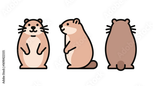 Cute flat vector illustration of a cartoon marmot or groundhog from the front, side, and back, isolated on a white background.