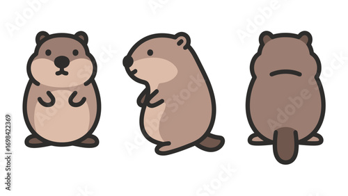 Cute flat vector illustration of a cartoon marmot or groundhog from the front, side, and back, isolated on a white background.