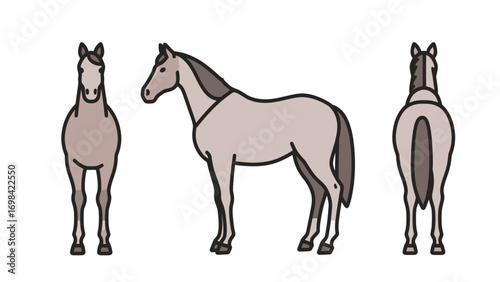 Flat vector illustration of a cartoon horse from the front, side, and back, isolated on a white background.