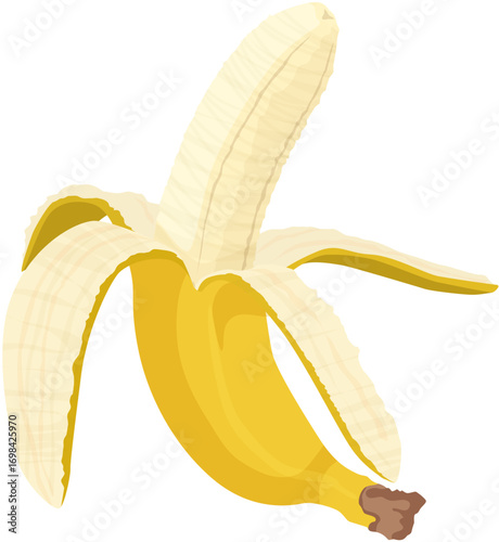 Peeled Banana Vector Illustration – Tropical Fruit Clipart
A vector illustration of a partially peeled banana, showing the inner fruit. Perfect for healthy food graphics, tropical themes, diet concept