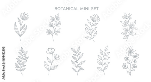 A collection of eight minimalist botanical illustrations, featuring various flowers and leafy branches in a delicate line art style.