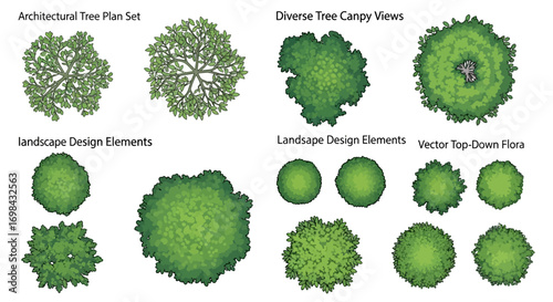 Collection of architectural tree plan sets and diverse canopy views, including landscape design elements and vector top-down flora illustrations.