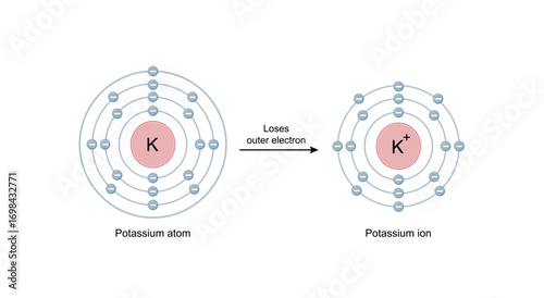 Potassium ion. Cation Structure, positively charged ion. Scientific Design. Vector Illustration.	