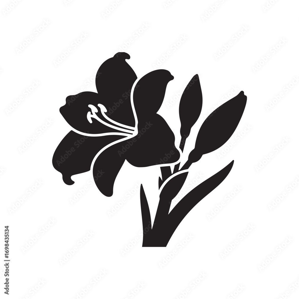 Obraz premium Amaryllis Vector (5).eps