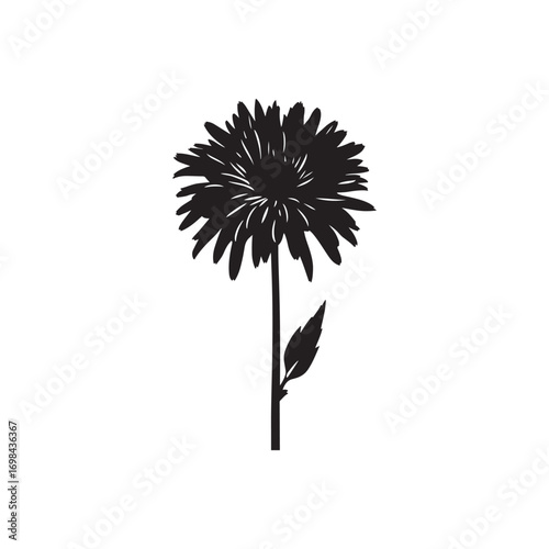 chrysanthemum vector (5).eps