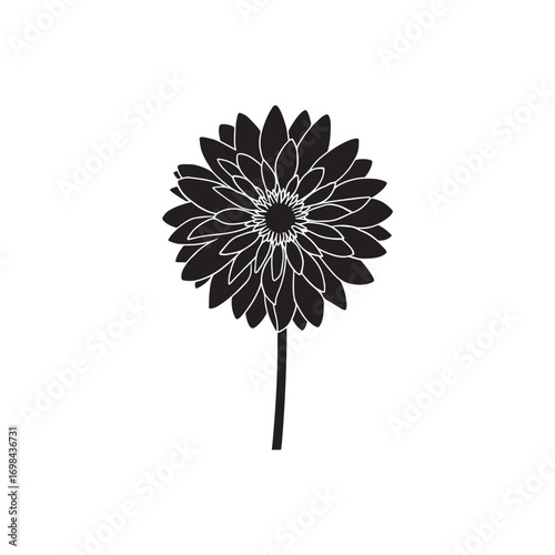 dahlia vector (6).eps