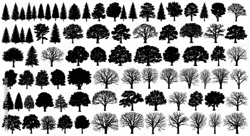 A collection of diverse tree silhouettes, showcasing various shapes, sizes, and species in a graphic arrangement.