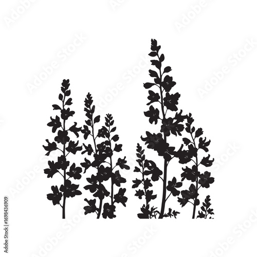 Delphinium Vector (1).eps