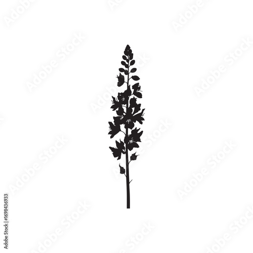 Delphinium Vector (2).eps