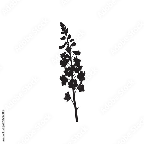 Delphinium Vector (4).eps
