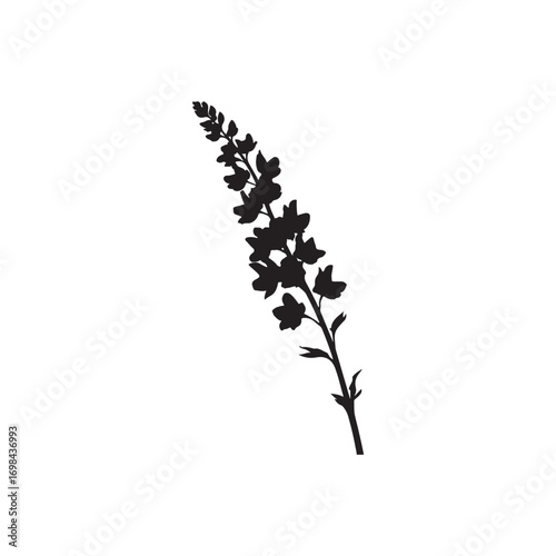 Delphinium Vector (3).eps