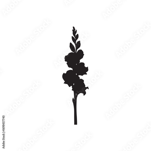 Gladiolus Vector (6).eps