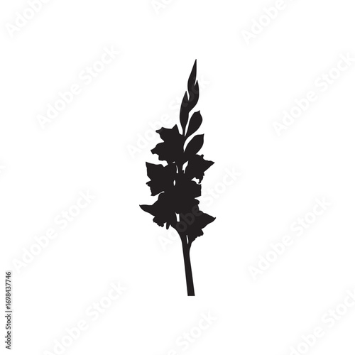 Gladiolus Vector (7).eps