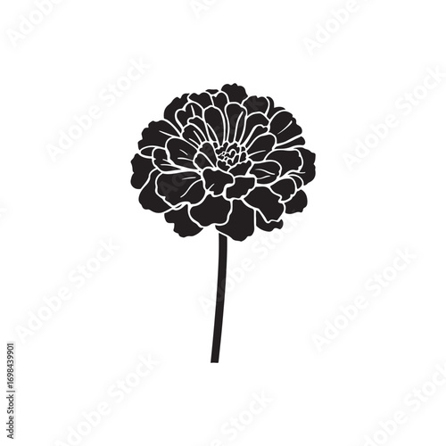 Marigold Vector (5).eps