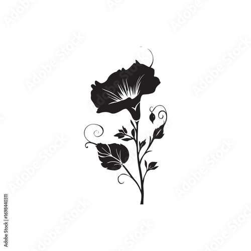 Morning Glory Vector  (7).eps