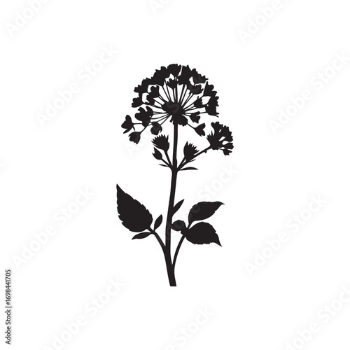 Verbena Vector (5).eps
