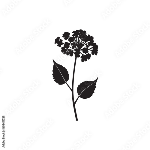 Verbena Vector (6).eps