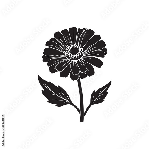 Zinnia Vector (5).eps