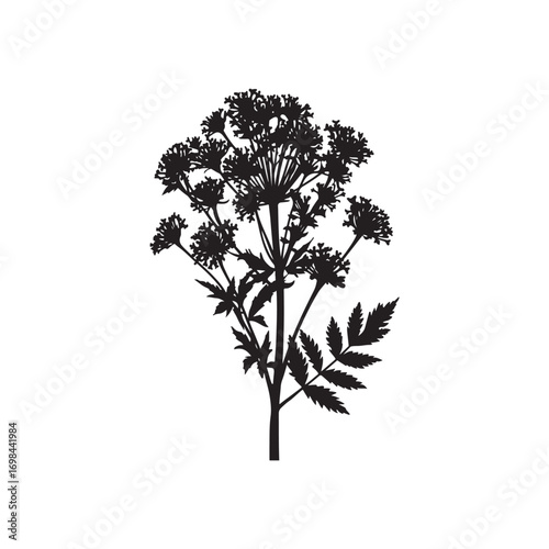 Yarrow Vector (8).eps