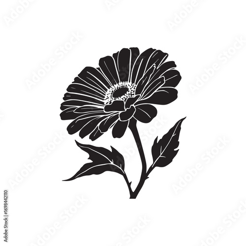 Zinnia Vector (6).eps