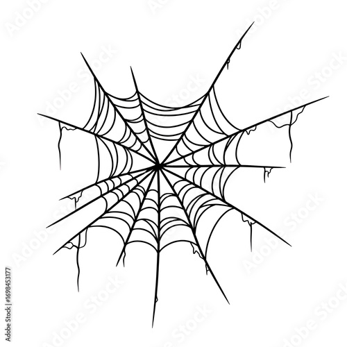 spider web vector
