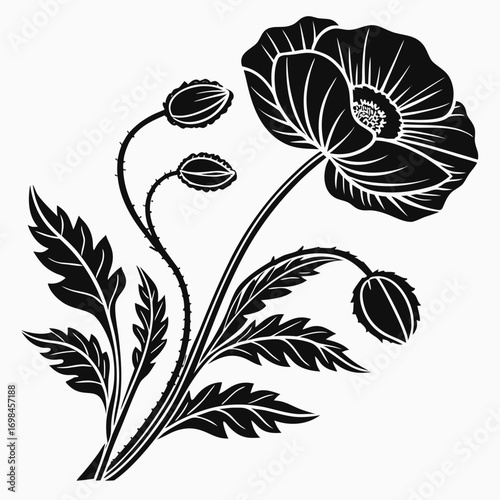 Black and white silhouette of a poppy flower with buds and leaves
