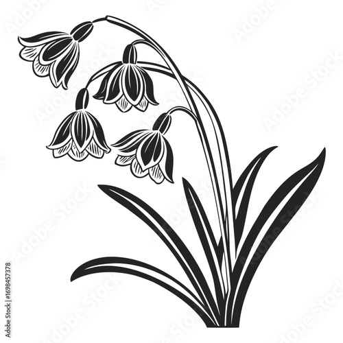 Black and white illustration of bell shaped flowers with leaves