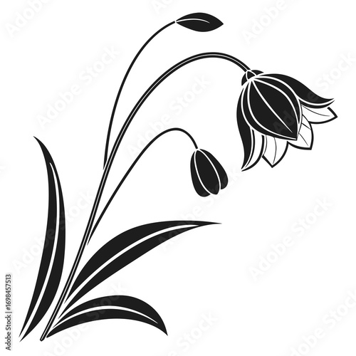 Elegant black silhouette of bell flowers and leaves on white background