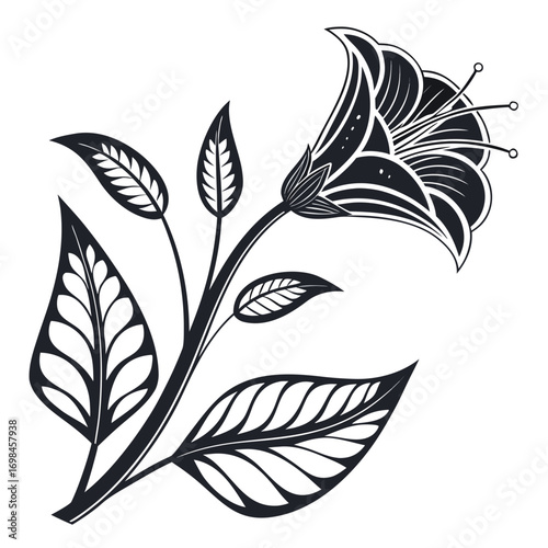 Stylized black and white floral illustration with detailed leaves and a trumpet shaped flower
