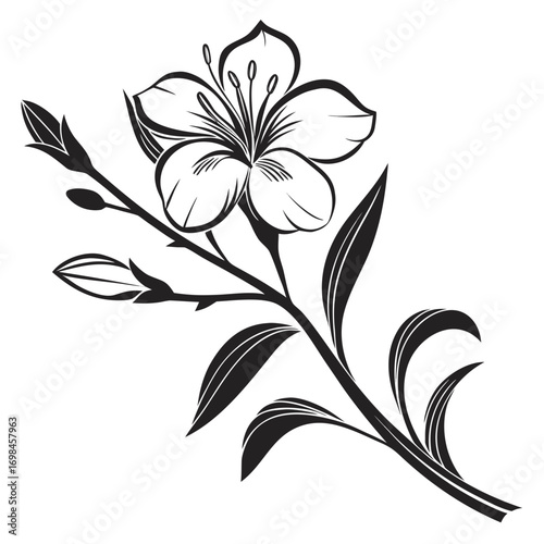 Elegant black and white floral illustration with blooming flower and buds