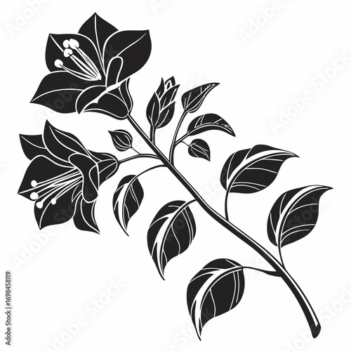 Black and white silhouette of a flowering branch with bell shaped flowers and leaves