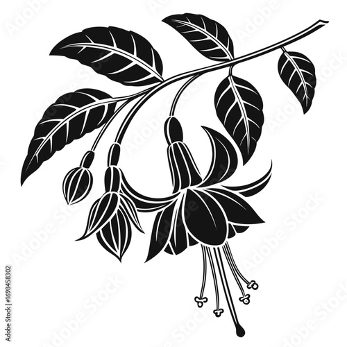 Black and white silhouette of a fuchsia flower branch with leaves and buds