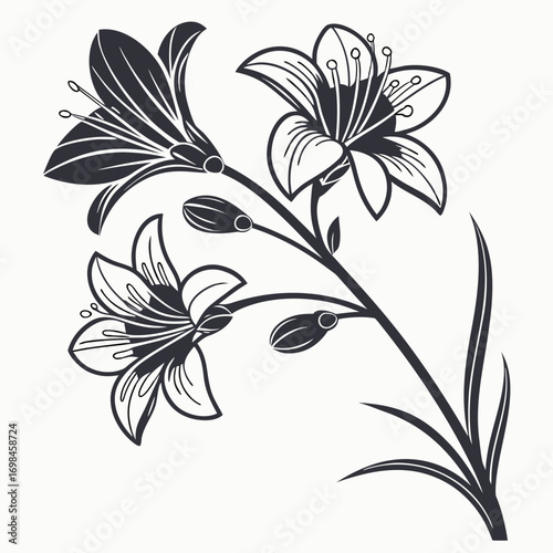 Stylized dark grey lily flowers and buds on a white background