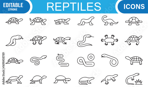 Scaly reptile line icons for zoology, wildlife studies, and animal biology illustration collection