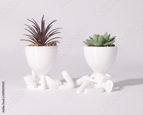  two white flower pots whith succulent on white background