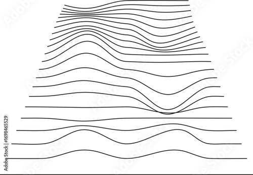 Abstract Topographic Lines Black Wavy Contours on White.